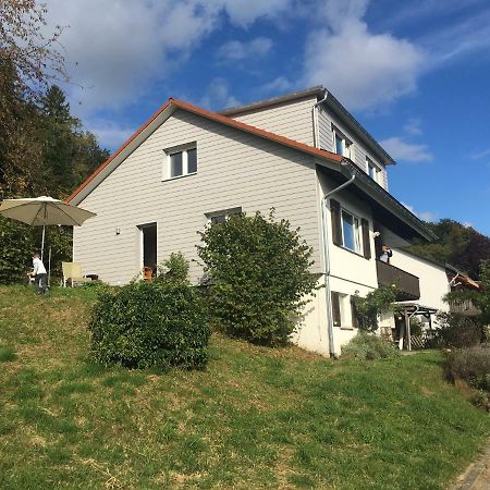 Alpenpanorama Am Hochrhein Villa Gailingen Dış mekan fotoğraf