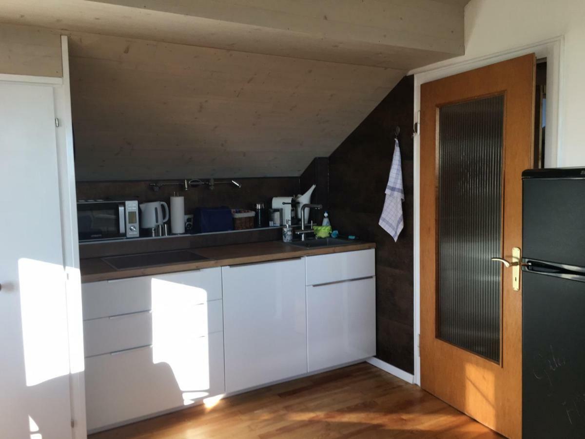 Alpenpanorama Am Hochrhein Villa Gailingen Dış mekan fotoğraf