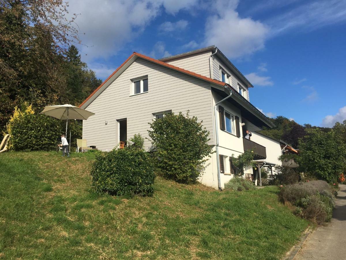 Alpenpanorama Am Hochrhein Villa Gailingen Dış mekan fotoğraf