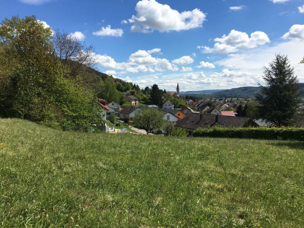 Alpenpanorama Am Hochrhein Villa Gailingen Dış mekan fotoğraf
