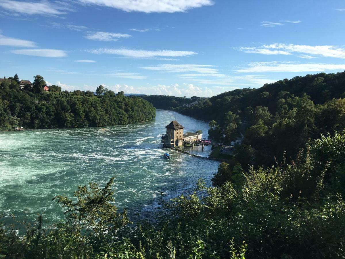 Alpenpanorama Am Hochrhein Villa Gailingen Dış mekan fotoğraf