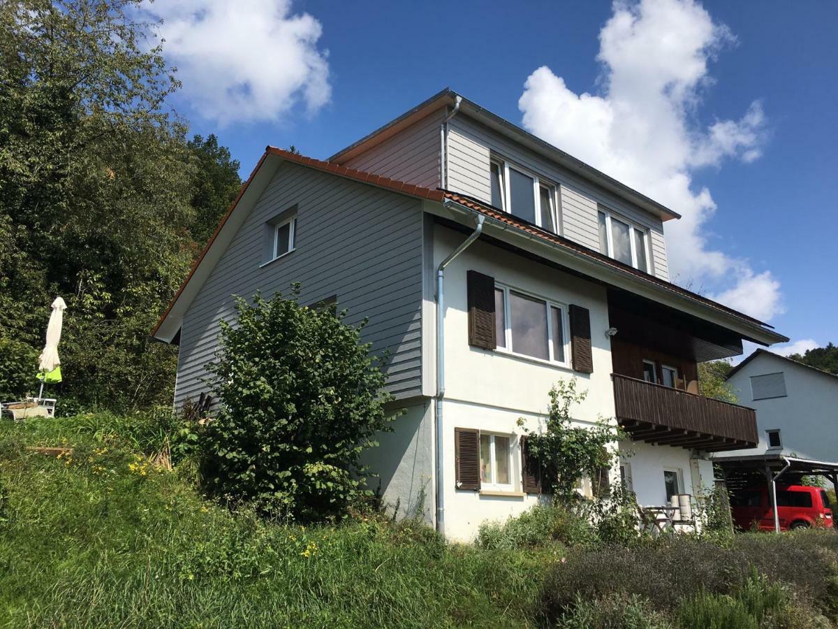 Alpenpanorama Am Hochrhein Villa Gailingen Dış mekan fotoğraf