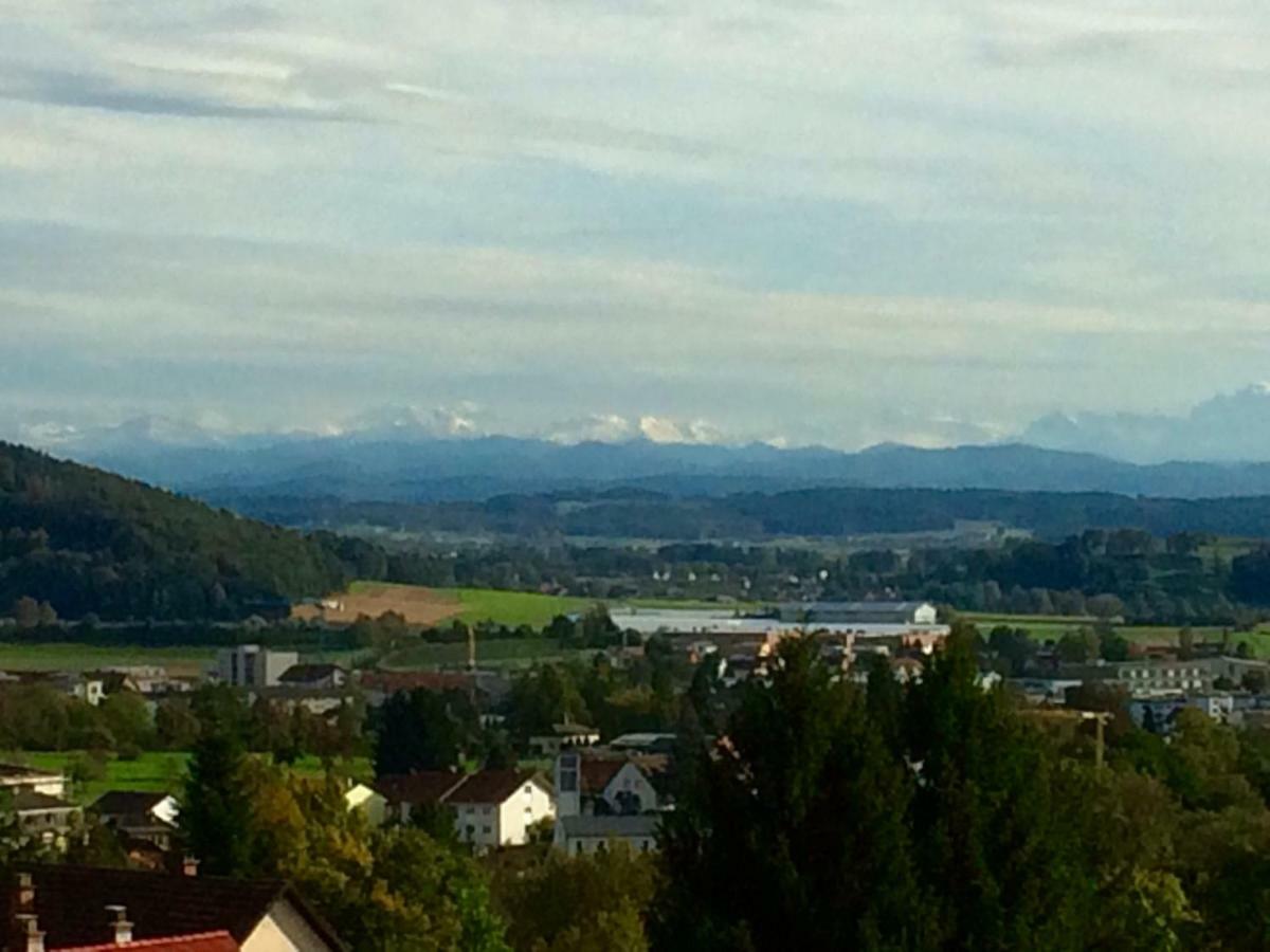 Alpenpanorama Am Hochrhein Villa Gailingen Dış mekan fotoğraf